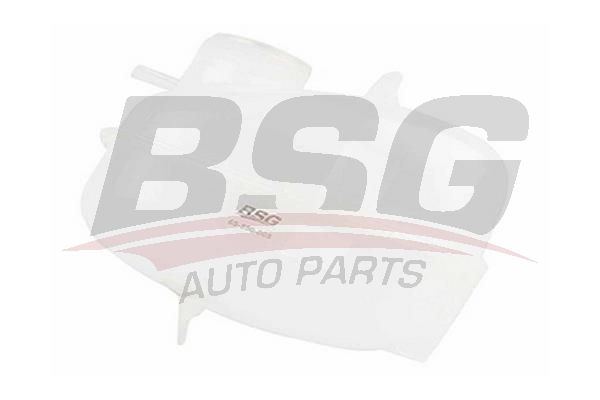 BSG 65550008 Radyatör Yedek Su Deposu