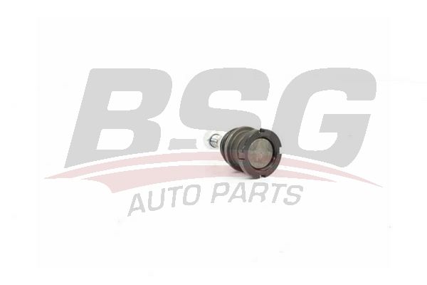 BSG 60310245 Rotil Alt - . Görsel