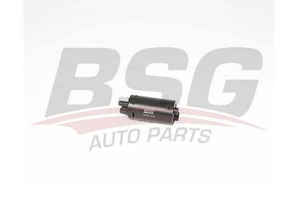 BSG 15830009 Benzin Pompası