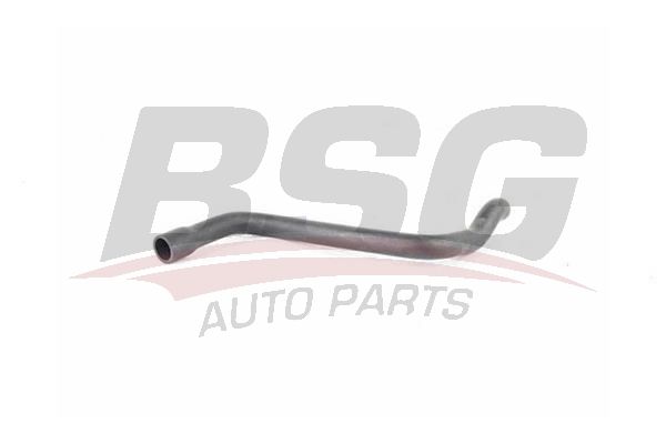 BSG 15720026 Motor Havalandırma Hortumu
