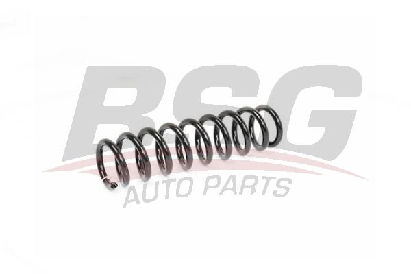 BSG 15305006 Helezon Yayı Arka