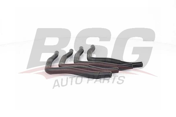 BSG 70720052 Su Hortumu