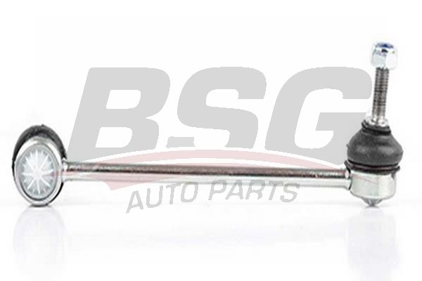 BSG 60310162 Viraj Askı Rotu Ön