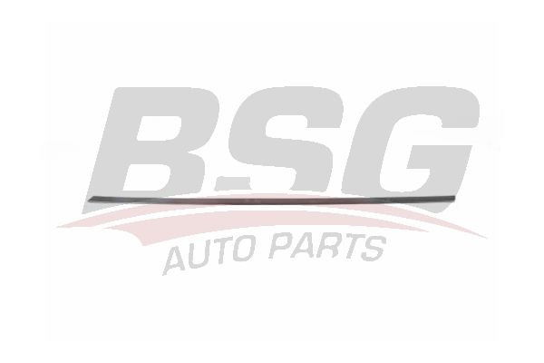 BSG 90924049 Kapı Bandı Ön Sol