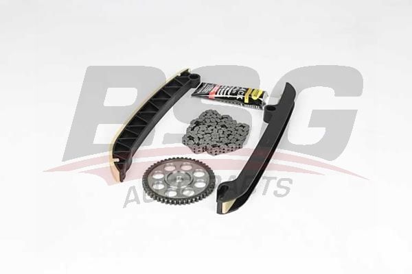 BSG 90102004 Eksantrik Zincir Seti