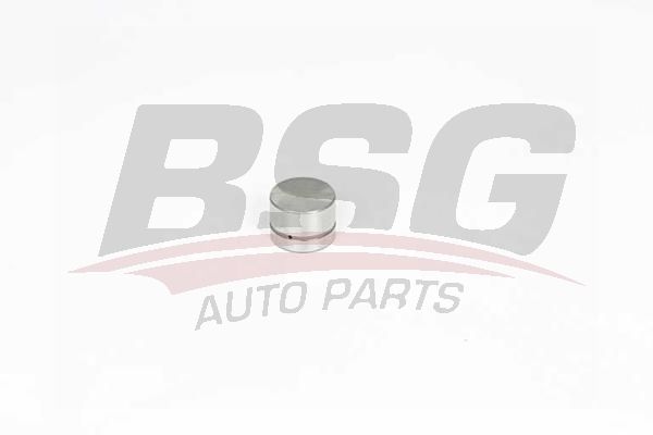 BSG 60122002 Supap Itıcısı