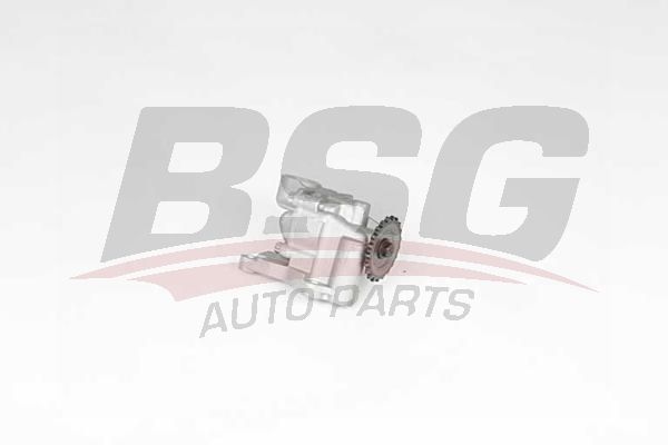 BSG 90101005 Yağ Pompası