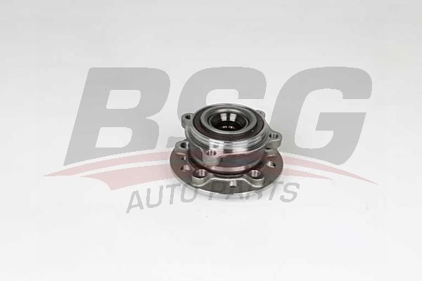 BSG 60600029 Porya Ön