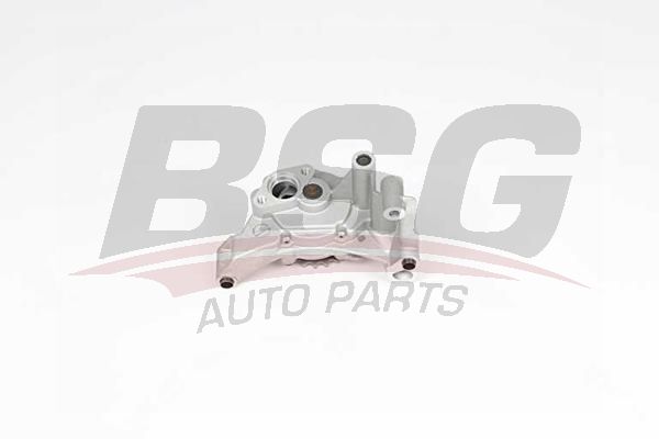 BSG 90101004 Yağ Pompası