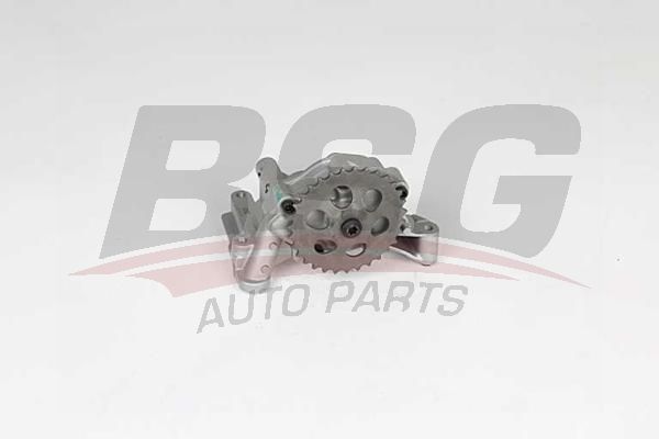 BSG 90101013 Yağ Pompası