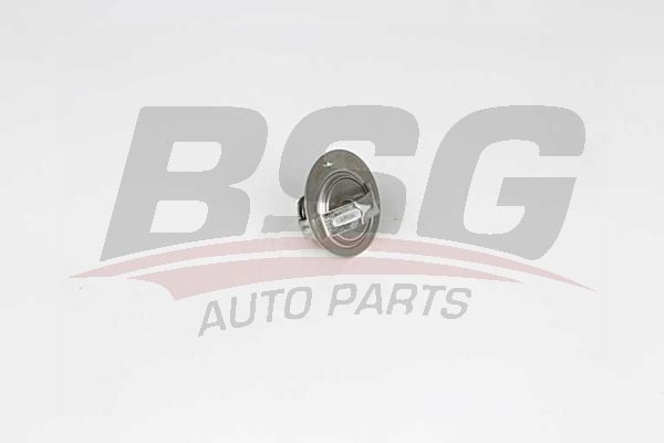 BSG 40126005 Termostat - . Görsel