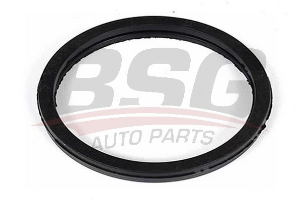 BSG 30116079 Termostat Çevre Lastiği
