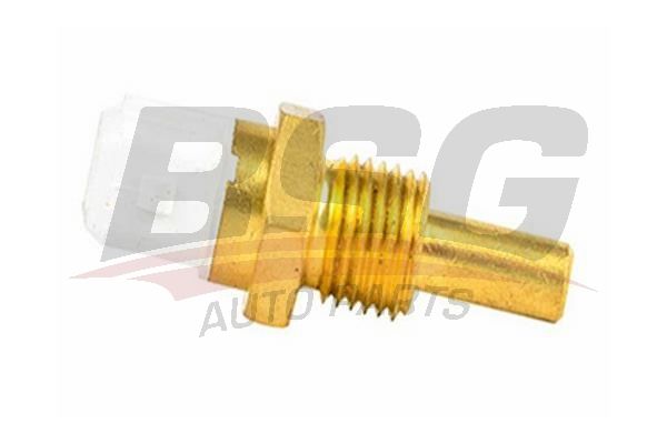 BSG 60840010 Hararet Müşürü - . Görsel