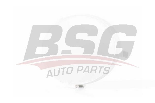 BSG 30922054 Çeki Demir Kapağı Ön