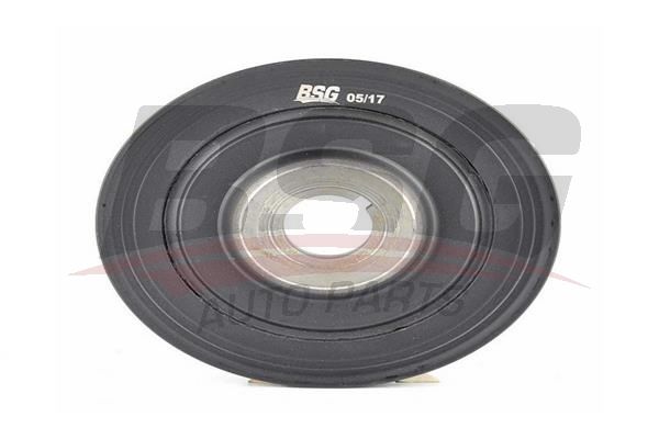 BSG 70170008 Krank Kasnağı