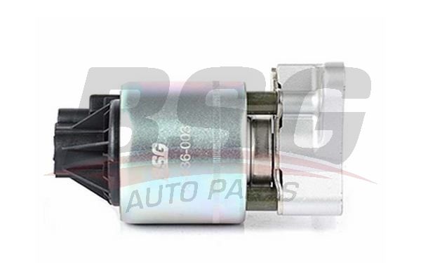 BSG 65836003 Egr Valfi - . Görsel
