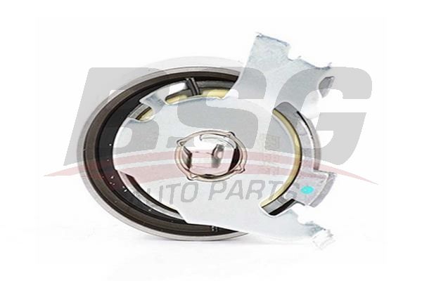 BSG 65615034 Eksantrik Gergi Rulmanı