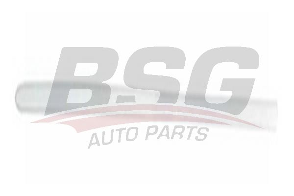 BSG 30924041 Kapı Bandı Ön Sağ