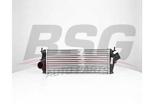 BSG 75535009 Turbo Radyatörü