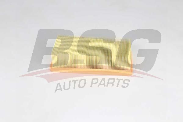BSG 25135007 Hava Filtresi