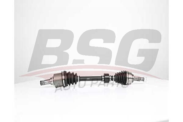 BSG 75350004 Aks Komple Ön Sol - . Görsel