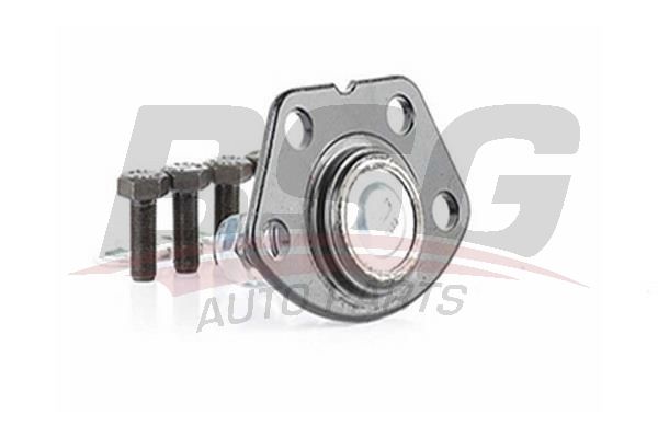 BSG 70310023 Rotil Alt