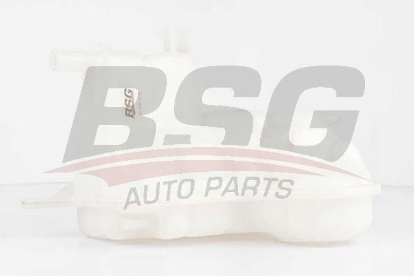 BSG 90550012 Radyatör Yedek Su Deposu - . Görsel