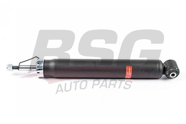 BSG 70300020 Amortisör Arka