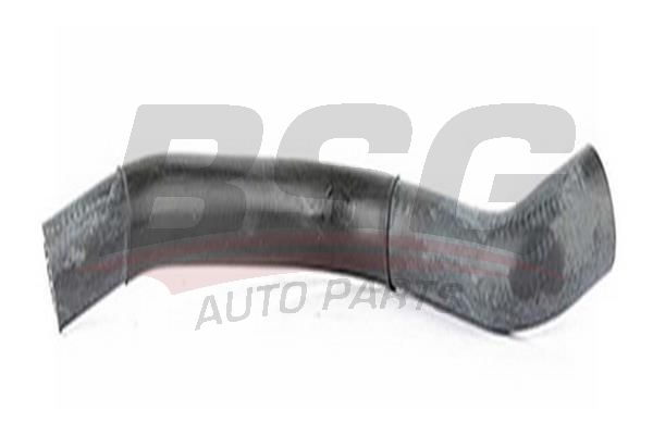 BSG 40700012 Amortisör Toz Körüğü Arka