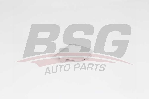 BSG 30922132 Çeki Demir Kapağı Ön