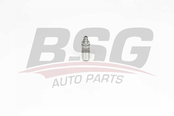 BSG 65122014 Supap Itıcı Tusu