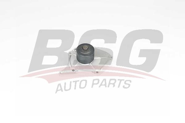 BSG 75500001 Devirdaim