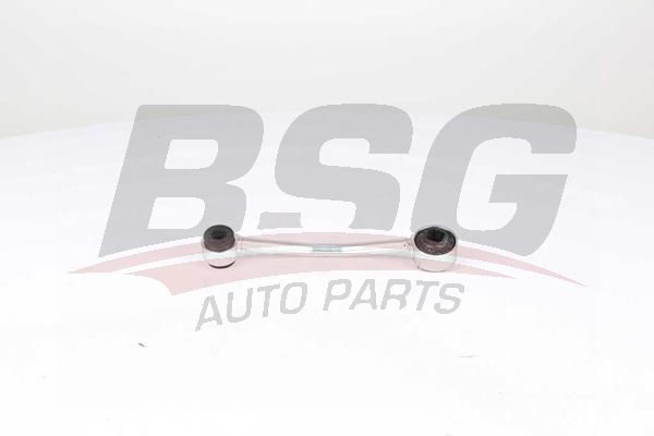 BSG 65310107 Viraj Askı Rotu Arka
