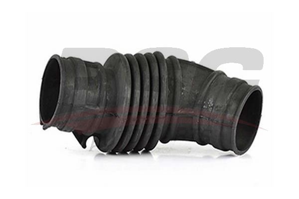 BSG 65705030 Hava Filtre Körüğü