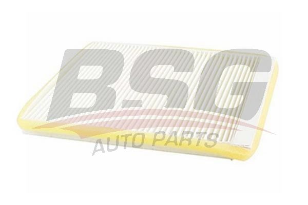 BSG 70145005 Polen Filtresi