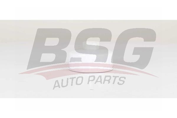 BSG 15130008 Yakıt Filtresi
