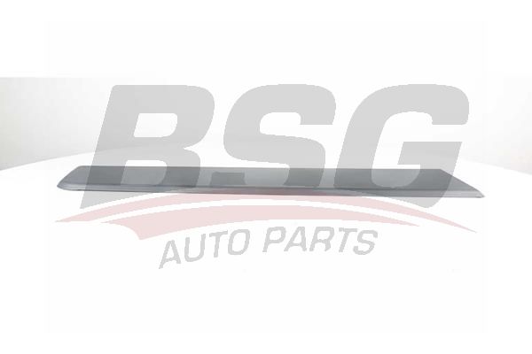BSG 70922047 Arka Çamurluk Çıtası Ön Sağ