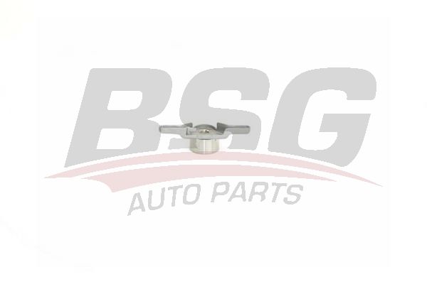 BSG 30615004 Eksantrik Gergi Rulmanı
