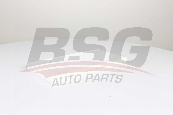 BSG 60145017 Polen Filtresi - . Görsel