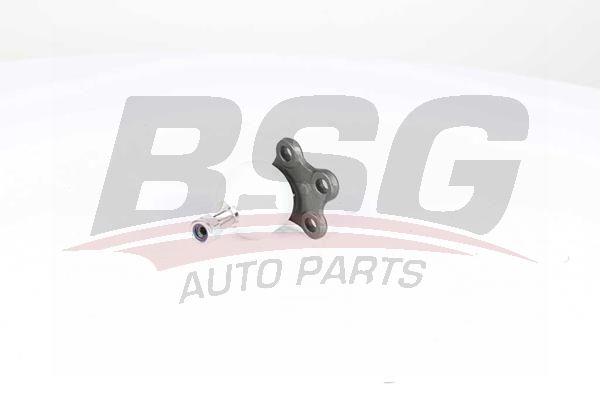 BSG 75310048 Rotil Alt