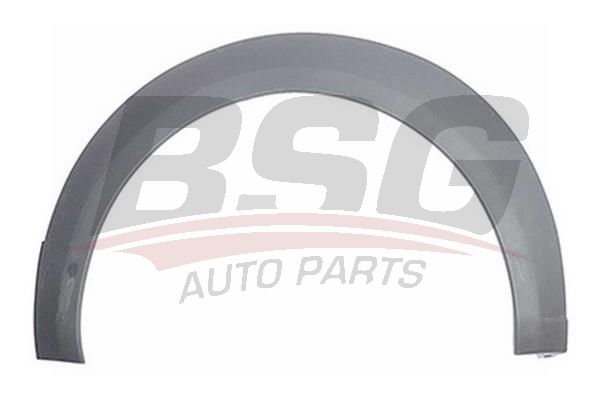 BSG 30922149 Çamurluk Ağız Bakaliti Arka Sağ