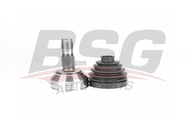 BSG 25340001 Aks Kafası Dış