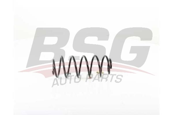 BSG 70305003 Helezon Yayı Arka - . Görsel