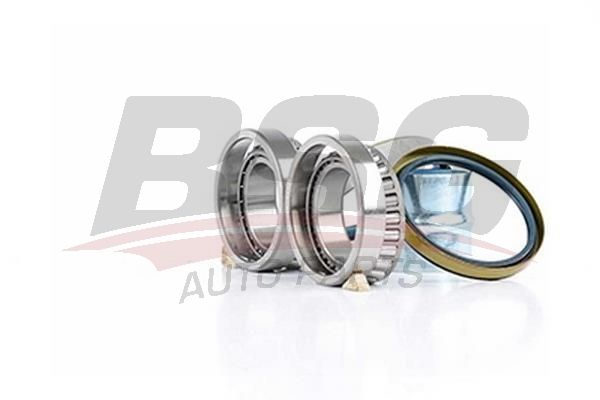 BSG 60600006 Porya Rulmanı Ön