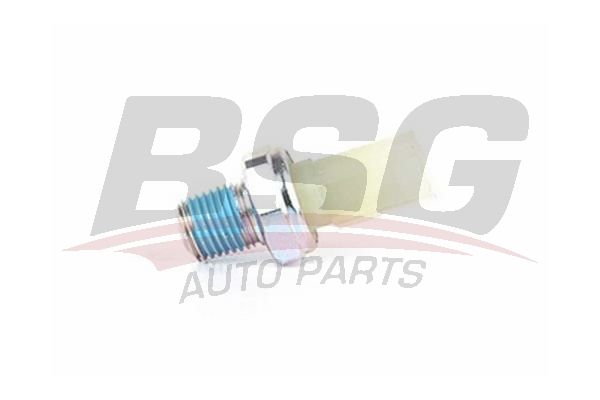 BSG 30840001 Yağ Basınç Müşürü