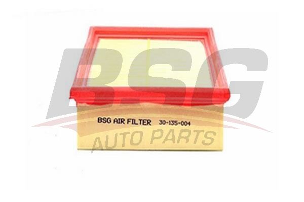 BSG 30135004 Hava Filtresi