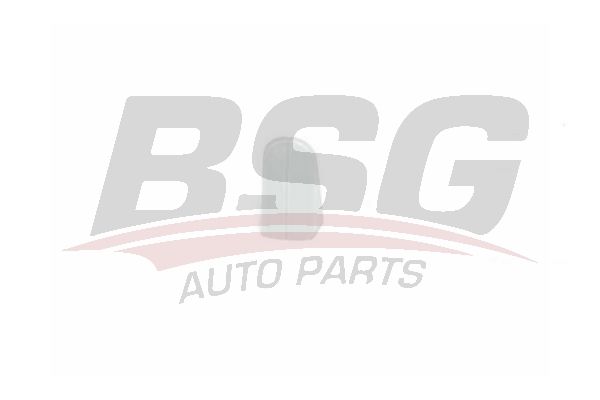BSG 30970059 Kapı Dış Açma Kolu