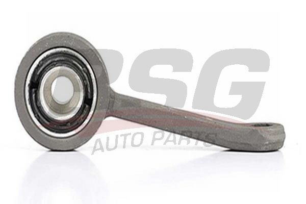 BSG 60310178 Viraj Askı Rotu Ön Sol