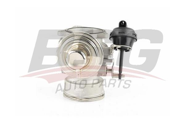 BSG 90836005 Egr Valfi - . Görsel
