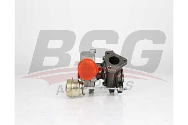 BSG 30100001 Turbo Sarj